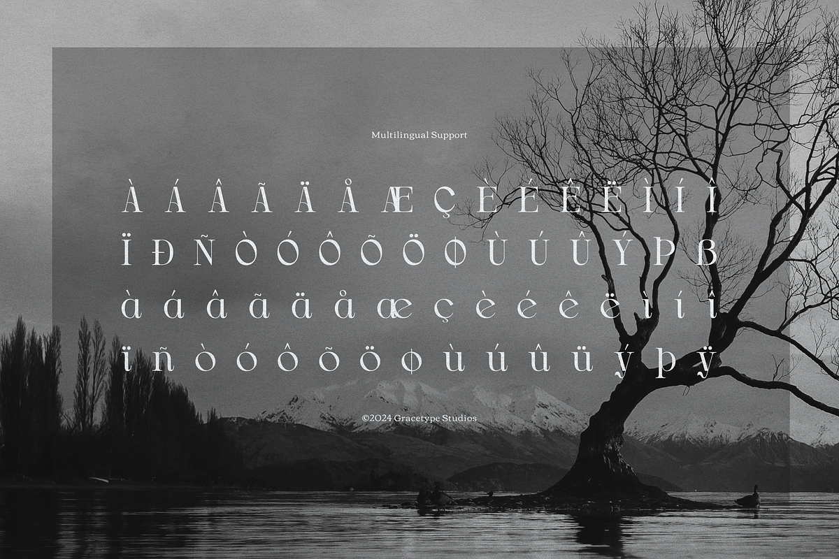 Drogel | Display Serif Font, a Serif Font by gracetype_studio (Photo 12 of 12)