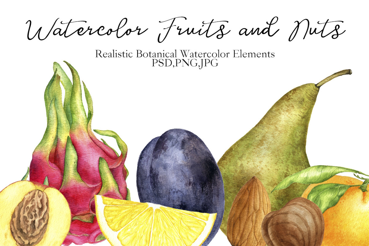 Watercolor Fruits and Nuts, an Object Graphic by cat_arch_angel (Photo 1 of 6)