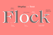 Lovelace - 30 fonts, a Serif Font by Zetafonts (Thumbnail 13 of 15)