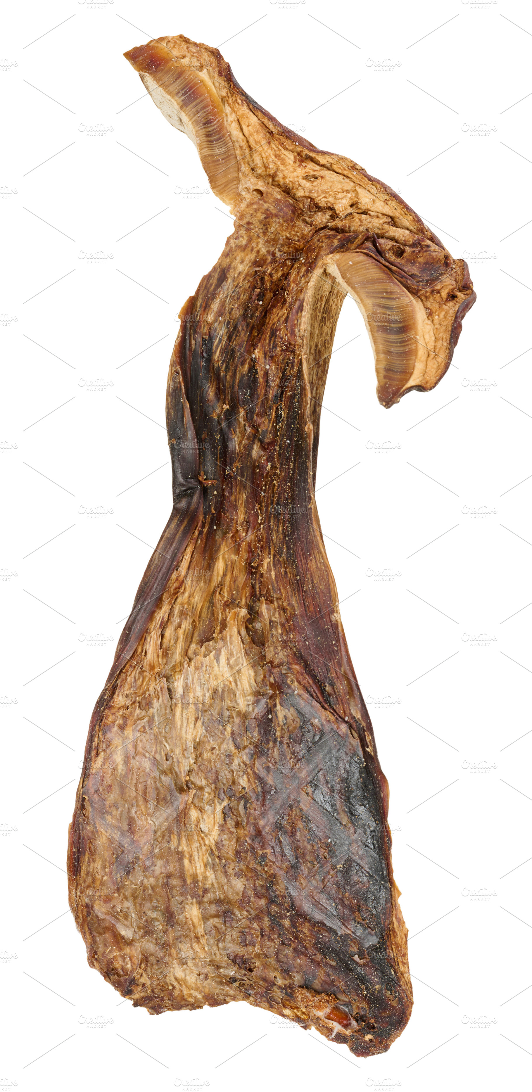 A dried mushroom with a fibrous, dark brown texture. Isolated ba, a Food & Drink Photo by ndanko