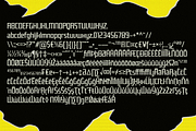FX Nukari - Serif Display Family, a Serif Font by Differentialtype (Thumbnail 11 of 11)