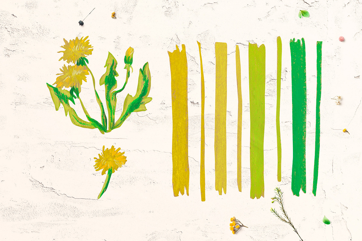 Cute Crayon Child Dandelion Flower, a Healthcare Illustration by Lucyinyourheart (Photo 5 of 6)