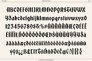 BN Tillman Gothic Display Typeface, a Serif Font by Bnick (Thumbnail 12 of 12)