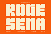 Roge Sena - Bold Sans Font, a Sans Serif Font by QR Design Studio (Thumbnail 1 of 9)