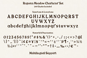 Rogesta Meadow, a Handwritten Font by Youngtype.Std (Thumbnail 9 of 15)