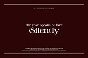 Billker Elegant Ligature Serif, a Serif Font by Alfinart (Thumbnail 2 of 10)