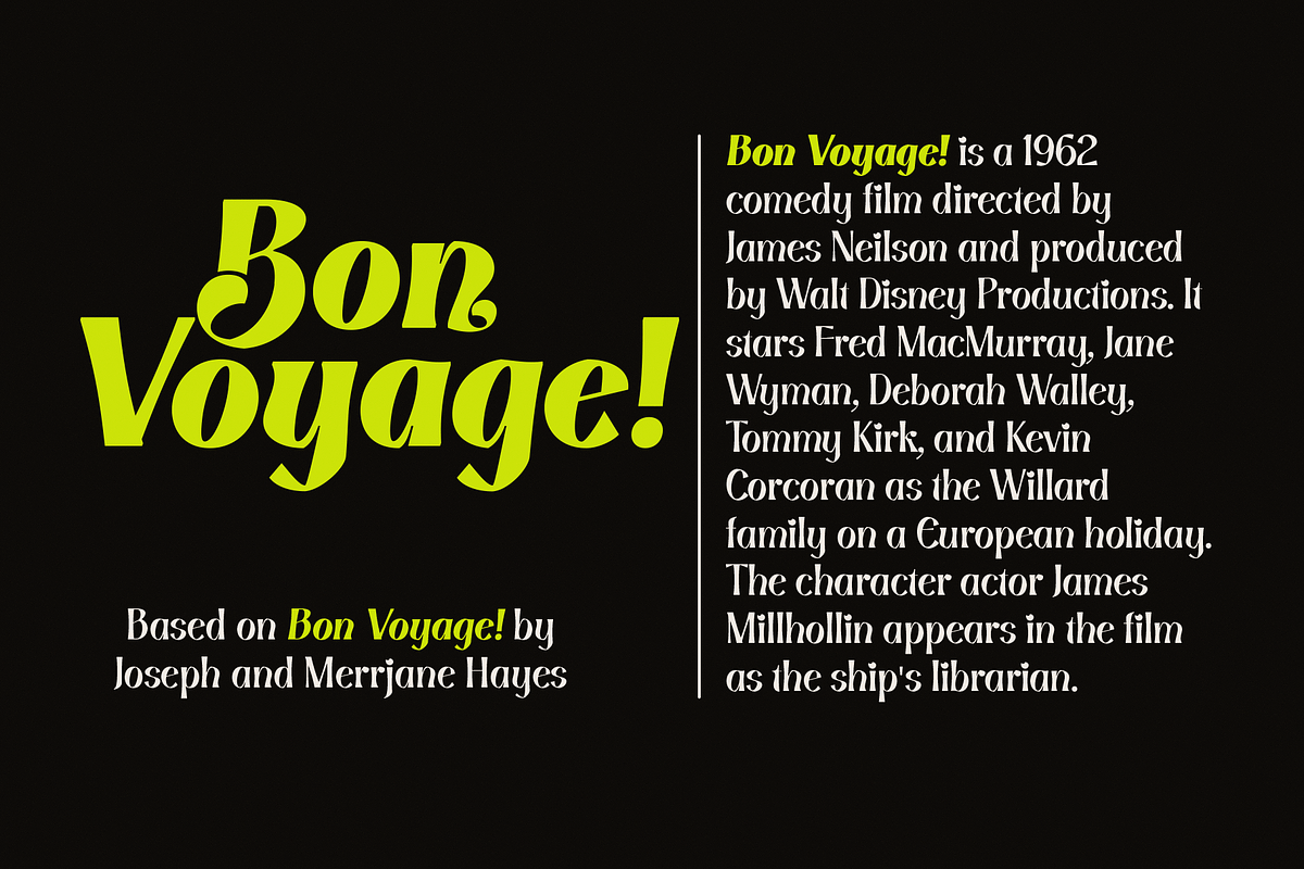 Tonight Show, a Serif Font by nurrontype (Photo 9 of 14)