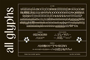 FIBULAR SANS - Variable Display Type, a Sans Serif Font by Artflorara (Thumbnail 21 of 23)