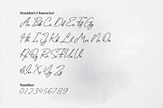 Lyfina Spring Monoline Script, a Script Font by Designsation (Thumbnail 5 of 10)