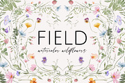 FIELD watercolor wildflowers, a Decorative Illustration by Yuliia Lashevska (Thumbnail 1 of 13)
