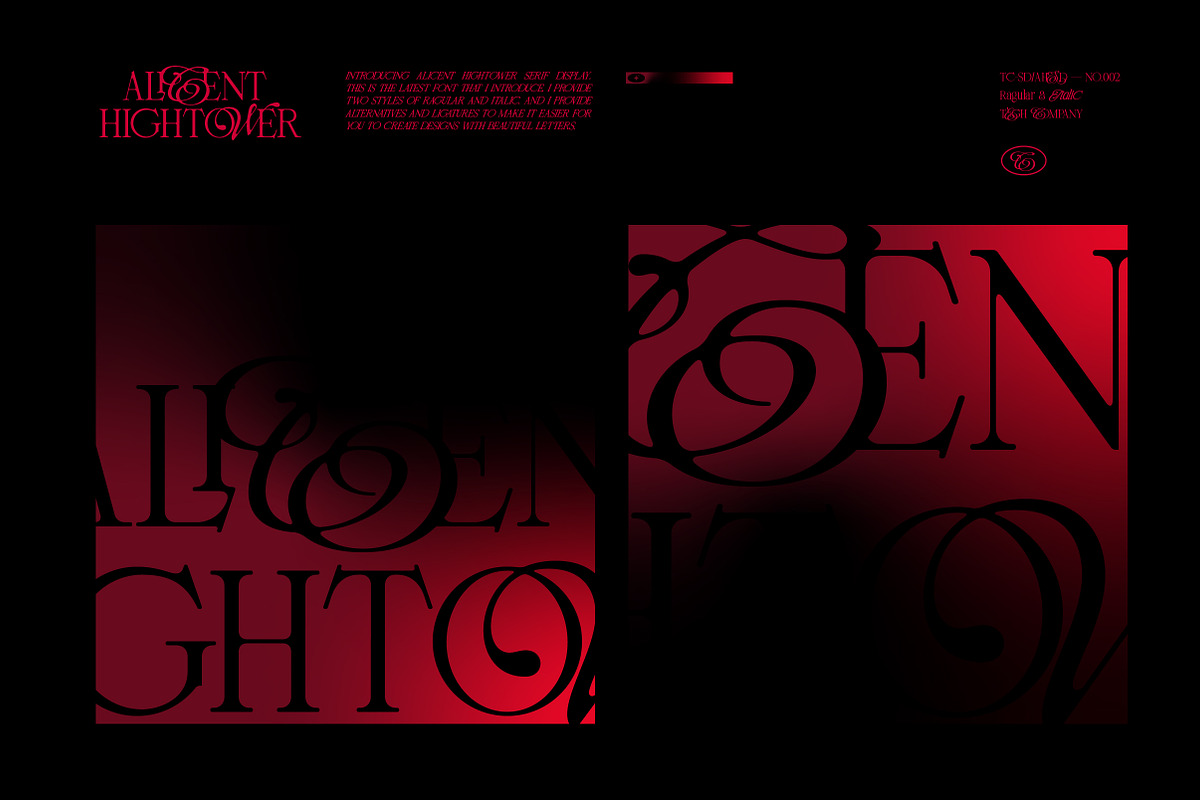 ALICENT HIGHTOWER SERIF DISPLAY, a Serif Font by Tegh co. (Photo 2 of 16)