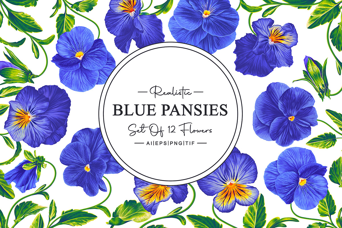 Blue Pansies Vector Set, an Illustration by MarynaPetrovska (Photo 1 of 15)