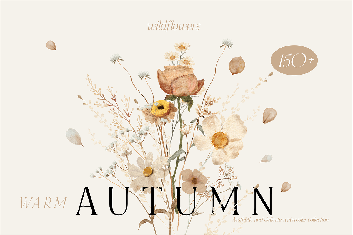 Warm AUTUMN - wildflower collection, a Seasonal Illustration by Youksy (Photo 1 of 17)