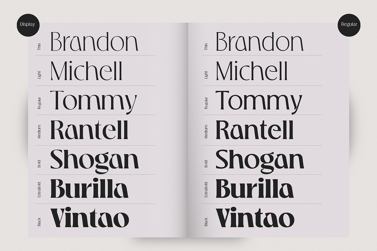 Praya - Modern Branding Font, a Serif Font by creativemedialab (Photo 16 of 17)