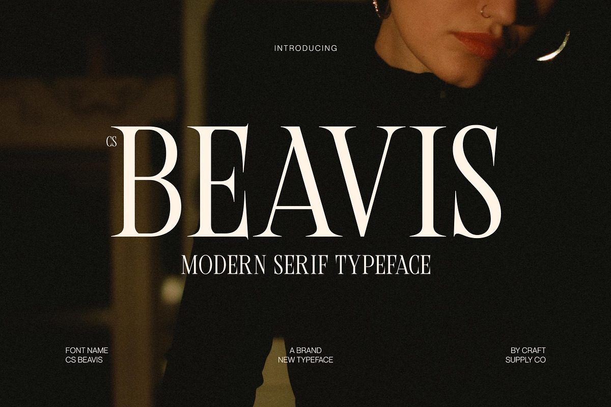 CS Beavis – Modern Serif Font, a Serif Font by Craft Supply Co. (Photo 1 of 8)