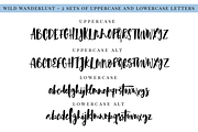 Wild Wanderlust Font Set, a Script Font by theinkaffair (Thumbnail 9 of 10)