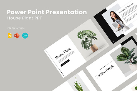 House Plant Presentation