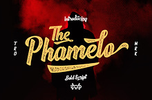 Phamelo - Grunge Script