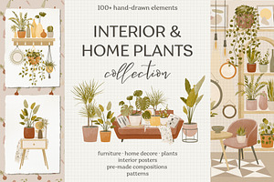 Interior & Home Plants Collection