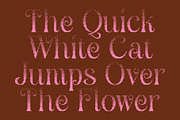 Angeris Halfpixel, a Serif Font by Craft Supply Co. (Thumbnail 2 of 8)