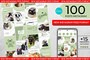 Pet Shop & Pet Care Instagram Posts, a Social Media Template by Gomes Web (Thumbnail 1 of 3)