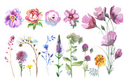 Wild Flowers watercolor PNG set, a Decorative Illustration by WatercolorPNG.com (Thumbnail 2 of 13)