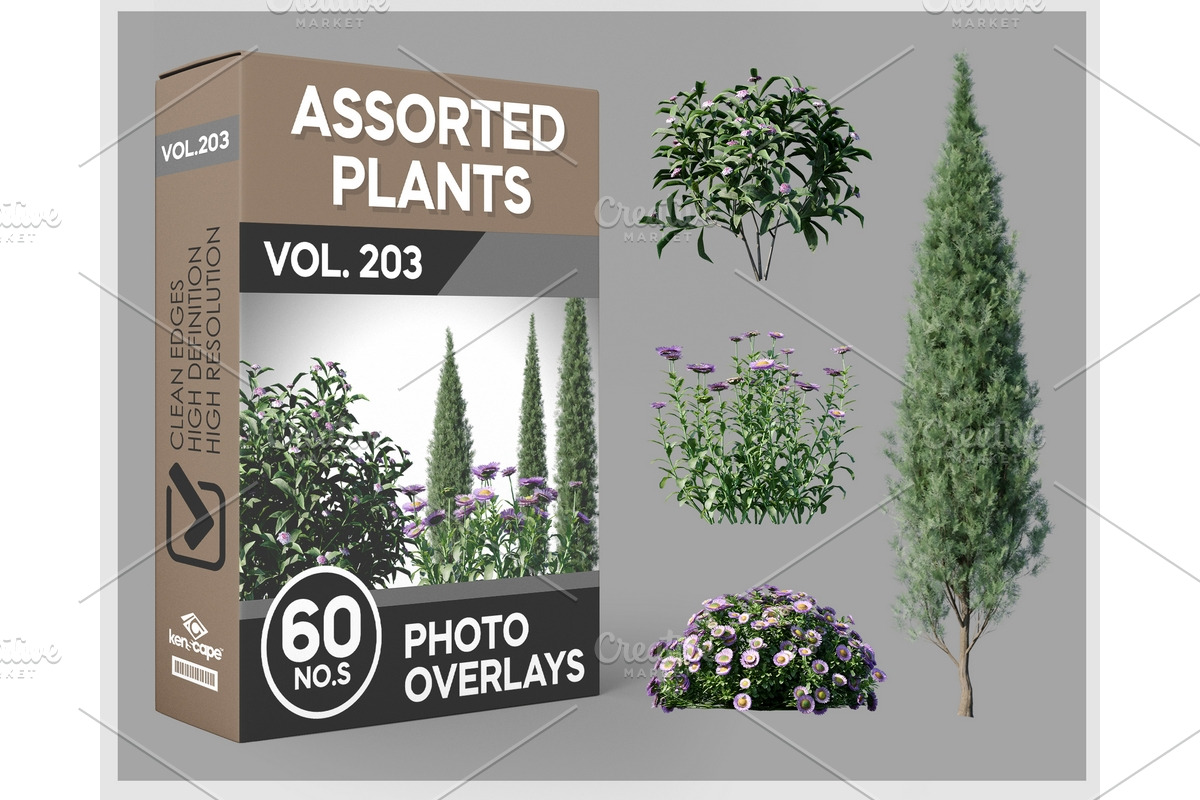 60 Assorted Plants Photo Overlays, a Nature Photo by KenScape (Photo 1 of 3)