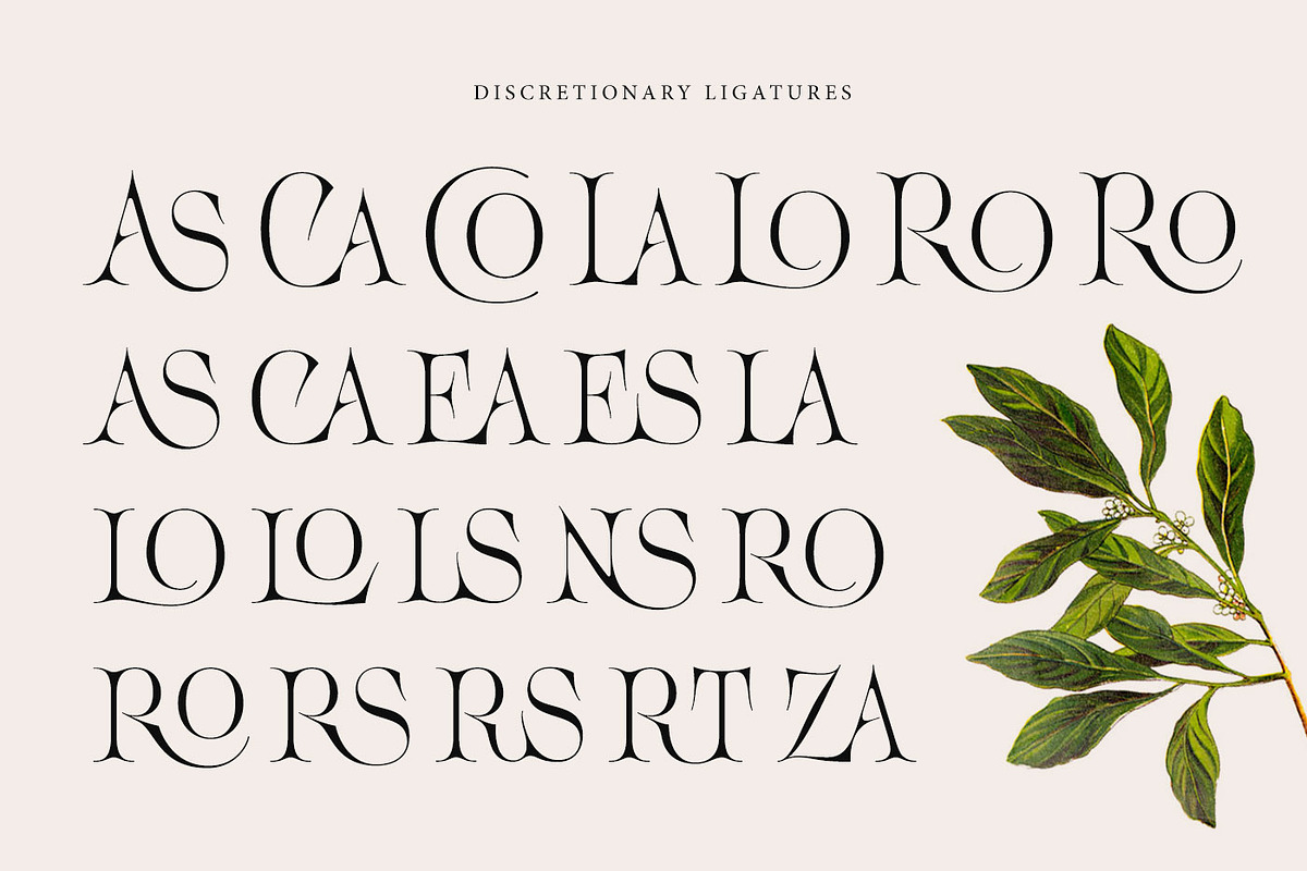Acris Serif, a Serif Font by Andrey Sharonov (Photo 8 of 16)
