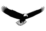 50 Flying Eagle Silhouette Vector Bu, an Illustration by Designs_River (Thumbnail 32 of 51)