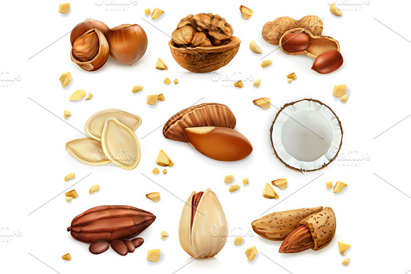 Nuts In The Shell Vector Icons Set