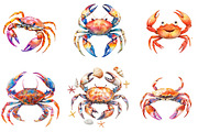 Watercolor Crab Clipart, an Illustration by Designking (Thumbnail 4 of 5)