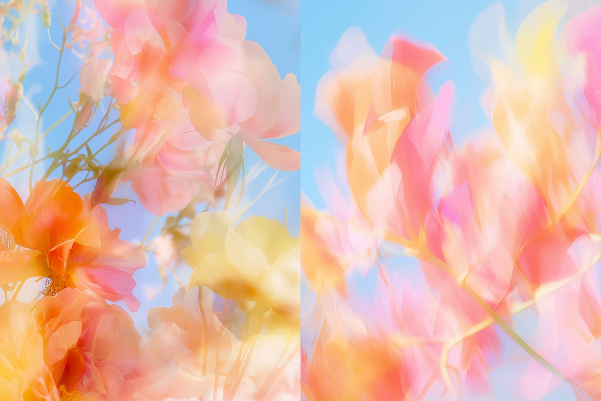 Dreamlike Floral Bloom Backgrounds, a Wallpaper Graphic by HipFonts