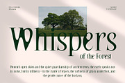 CS Korima Drawn, a Serif Font by Craft Supply Co. (Thumbnail 5 of 8)
