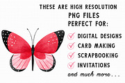 Watercolor Butterfly Clipart, an Illustration by Libby Wishes (Thumbnail 3 of 6)