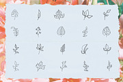 Bundle 62 Vector Botanical Elements, an Illustration by Mariia Kovalchuk (Thumbnail 2 of 4)