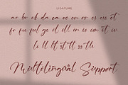 Ving Winston - Signature Font, a Script Font by StringLabs (Thumbnail 9 of 9)