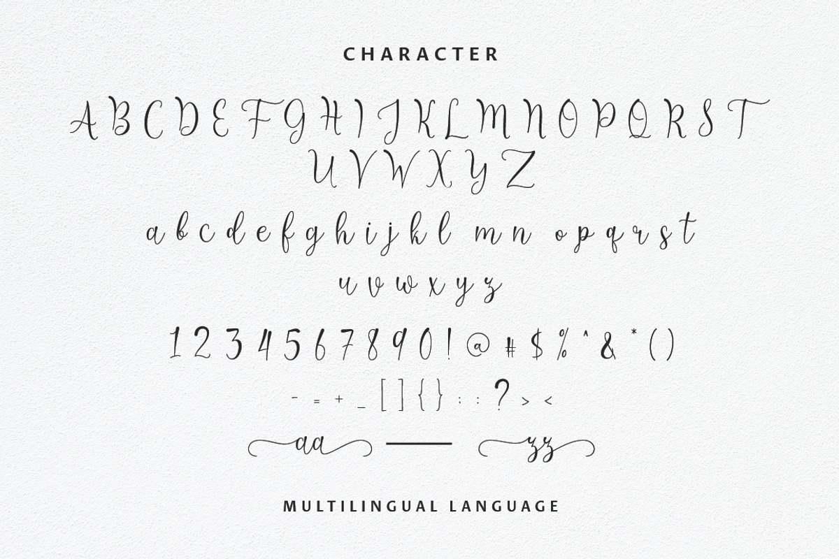 Untilnow Script Modern Calligraphy, a Script Font by sizimon (Photo 8 of 8)