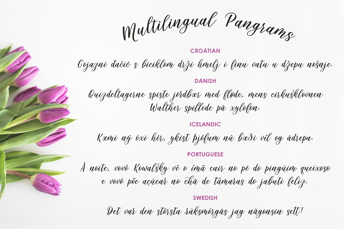 Twindigo Script Font preview 8