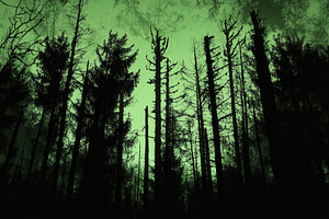 Panoramic view of black forest, a Photo by Pavel_design