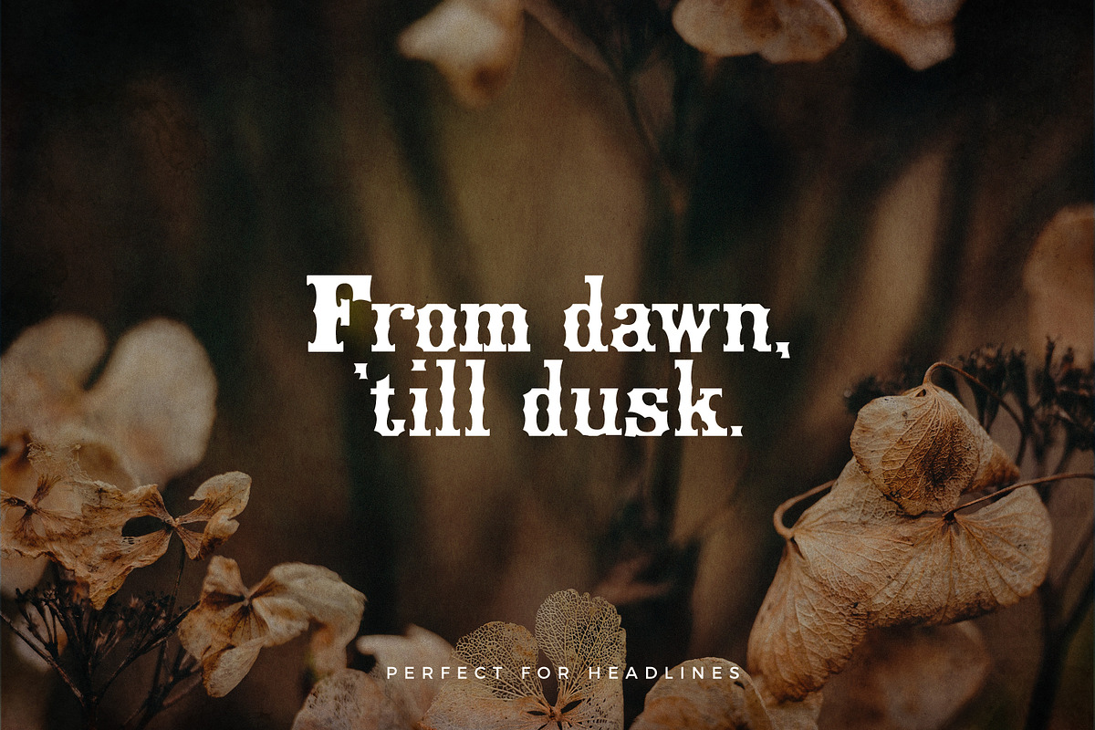 Xavier - Vintage Display Font preview 4
