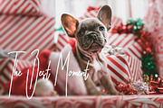 Rasa Sayang - Signature Scipt Font, a Handwritten Font by Samtiv Studio (Thumbnail 3 of 8)