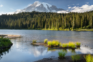 Reflection lakes in mount rainier featuring landscape, nature, and america