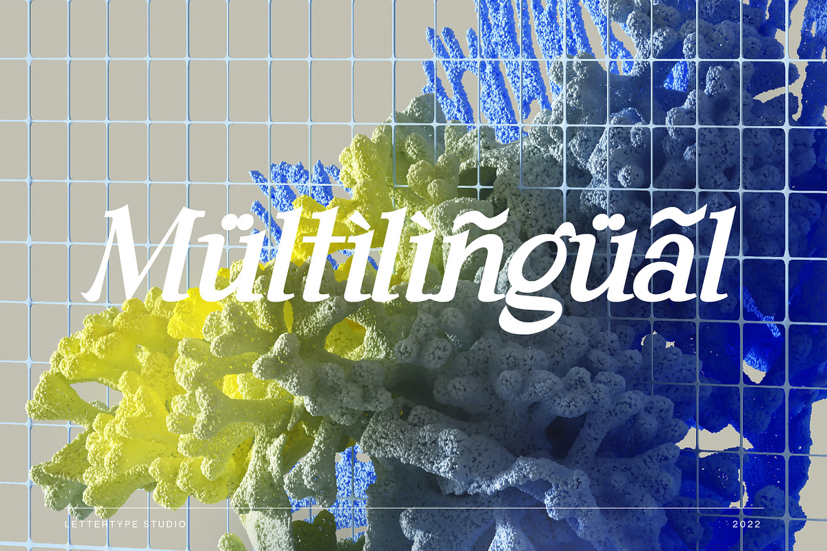 Andaman an Experimental Serif Font, a Serif Font by Lettertype Studio (Photo 13 of 15)