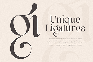 Life Sugar - Unique Serif Font