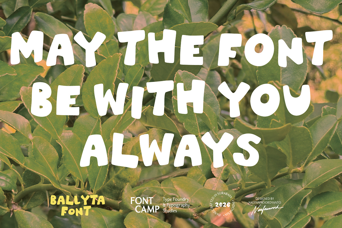 Ballyta Font, a Handwritten Font by Fontcamp Type Foundry (Photo 7 of 18)