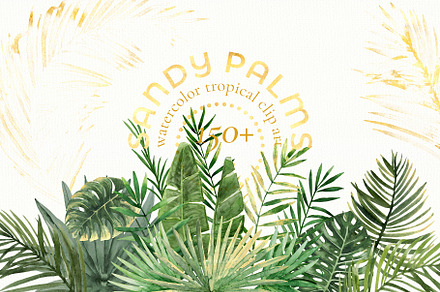 Watercolor tropical clip art, a Decorative Illustration by HSk Art