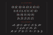Satreva Nova Serif Font, a Serif Font by Typebae (Thumbnail 7 of 8)
