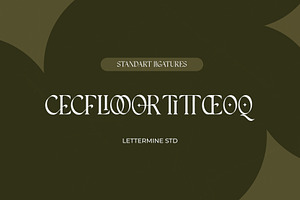 Insomatte - Modern Serif