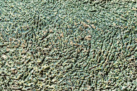 Texture of green scratched concrete. Abstract background., an Abstract Photo by Eugene_Photo