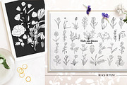 Botanical Wildflowers. Patterns, an Illustration by Diana Kovach (Thumbnail 2 of 11)